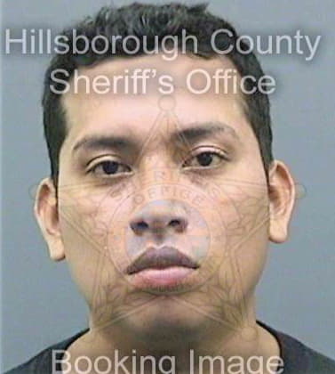 Lopezaguilar Mynor - Hillsborough County, FL 