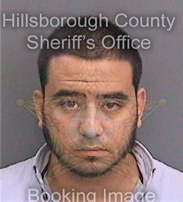 Zingarolugo Alan - Hillsborough County, FL 