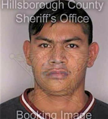 Mendez Nathaniel - Hillsborough County, FL 
