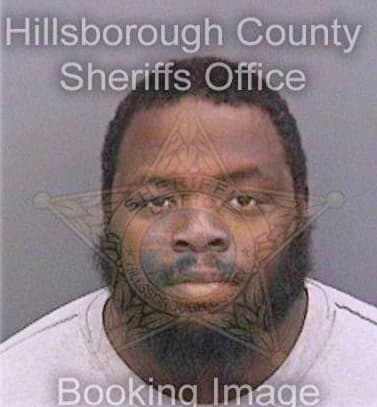 Felix Anio - Hillsborough County, FL 