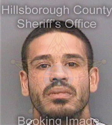 Ciprian Rafael - Hillsborough County, FL 