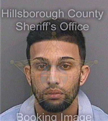 Patel Ronak - Hillsborough County, FL 