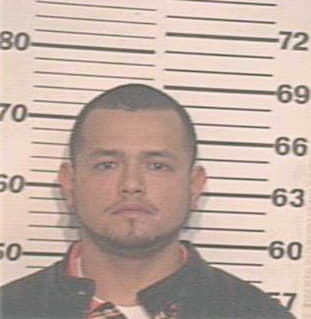 Trevino Arnoldo - Hidalgo County, TX 