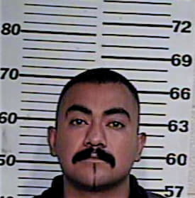 Hernandez Gerardo - Hidalgo County, TX 