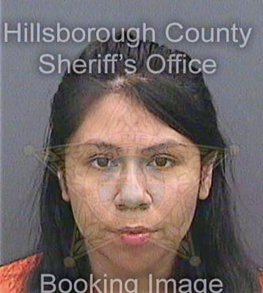 Meneses Liliana - Hillsborough County, FL 