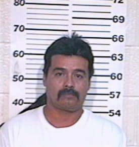 Martinez Enrique - Hidalgo County, TX 