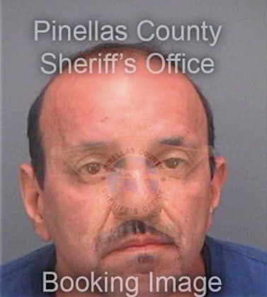 Pierce John - Pinellas County, FL 