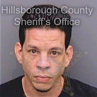 Garcia Luis - Hillsborough County, FL 