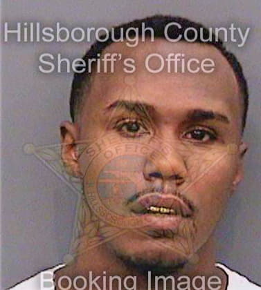 Swaney Arthur - Hillsborough County, FL 