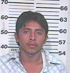 Hernandez Eliseo - Hidalgo County, TX 