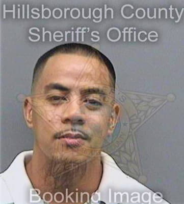 Llenarez John - Hillsborough County, FL 