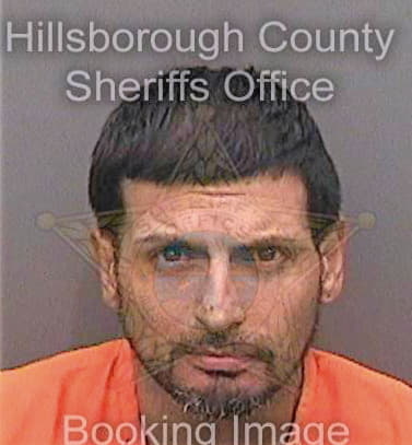 Vasquez Luis - Hillsborough County, FL 