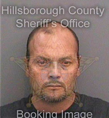 Manrriquezortiz Simeon - Hillsborough County, FL 