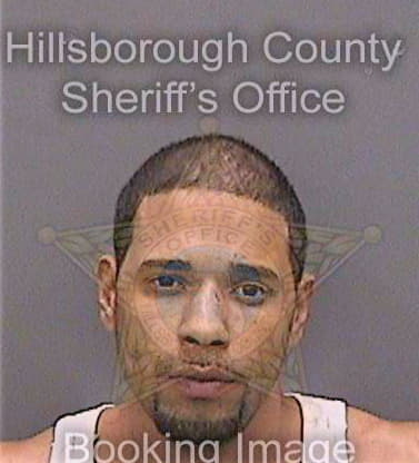Boffil Anthony - Hillsborough County, FL 