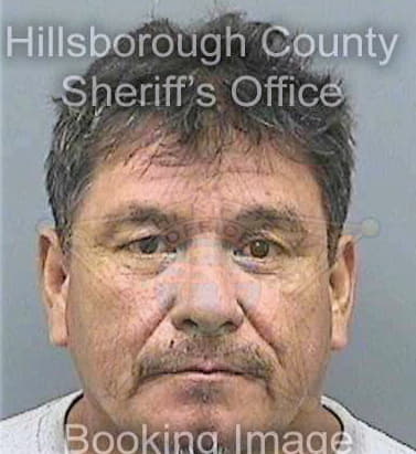 Carmona Ignacio - Hillsborough County, FL 