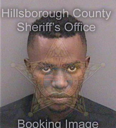 Bouyer Stevie - Hillsborough County, FL 