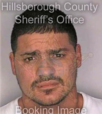 Gonzalez Abraham - Hillsborough County, FL 