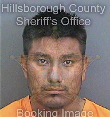 Maldonadotorrez Vicente - Hillsborough County, FL 