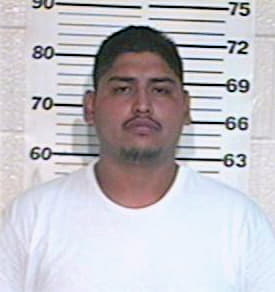 Ramirez Heriberto - Hidalgo County, TX 