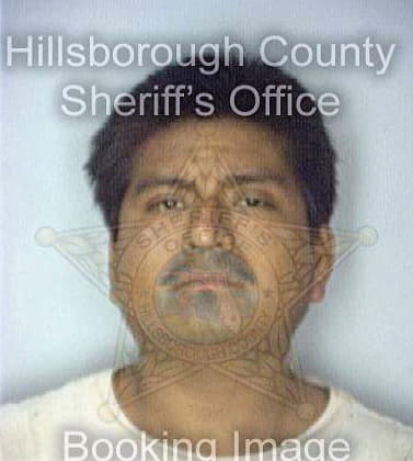 Hernandezplacido Moises - Hillsborough County, FL 