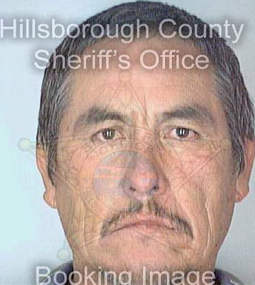 Sanchez Regelio - Hillsborough County, FL 