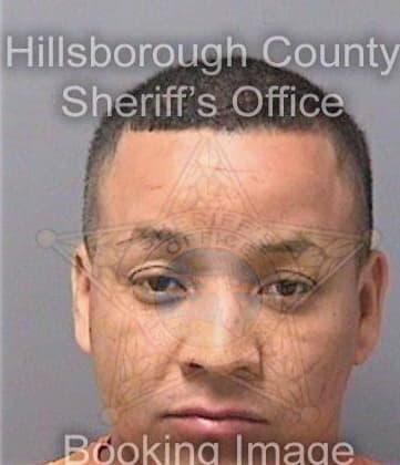 Calixgarcia Pedro - Hillsborough County, FL 