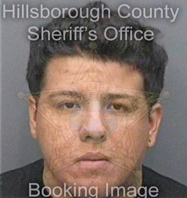 Enriquezbernal Israel - Hillsborough County, FL 