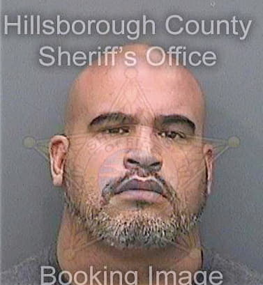 Echevarria Paul - Hillsborough County, FL 