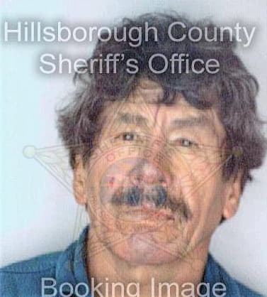 Gonzalez Ceferino - Hillsborough County, FL 