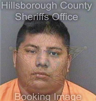 Bartolon Cristian - Hillsborough County, FL 