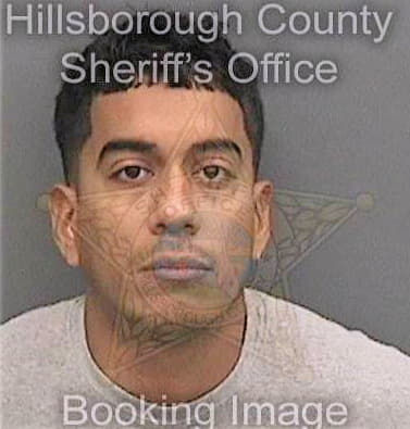 Serrano Sergio - Hillsborough County, FL 