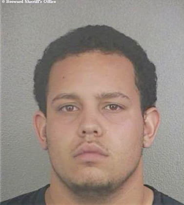 Gonzalez Jose - Broward County, FL 