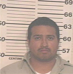 Guerra Adan - Hidalgo County, TX 