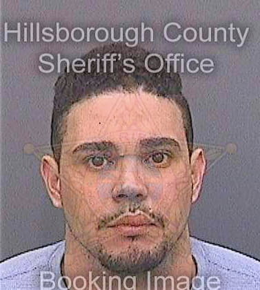 Ramirez Alberto - Hillsborough County, FL 