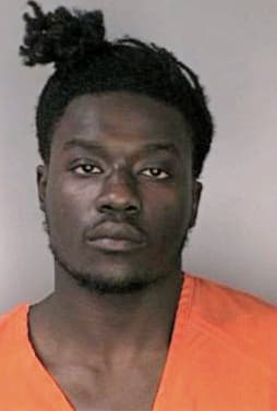 Bivens Dominic - Hillsborough County, FL 