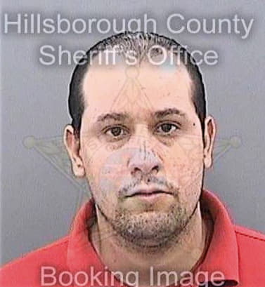 Lopez Onel - Hillsborough County, FL 