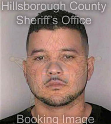 Collazo Antonio - Hillsborough County, FL 