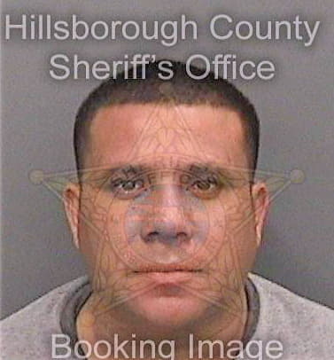 Fugon-Melendez Joel - Hillsborough County, FL 