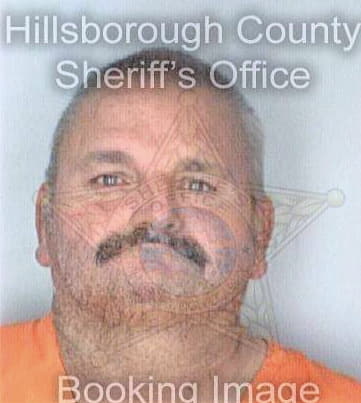 Bowman David - Hillsborough County, FL 