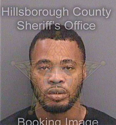 Johnson Dywan - Hillsborough County, FL 