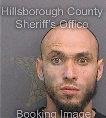 Santiago Erick - Hillsborough County, FL 