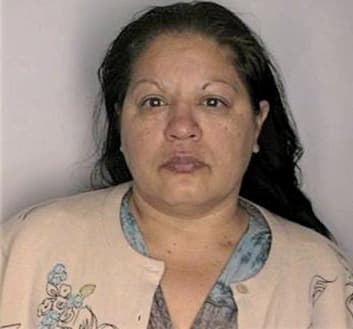 Mejias Cynthia - Hillsborough County, FL 