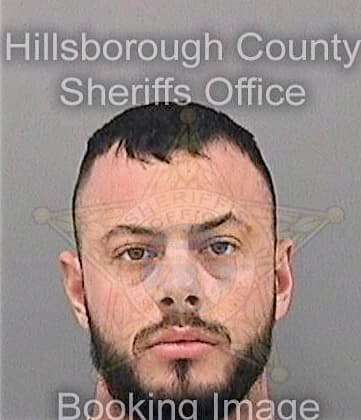 Strosnider David - Hillsborough County, FL 