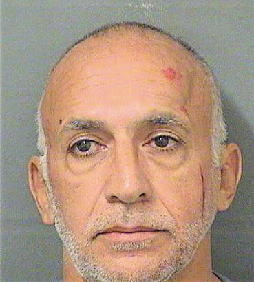 Almeida Fausto - PalmBeach County, FL 