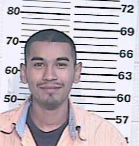 Hernandez Randy - Hidalgo County, TX 