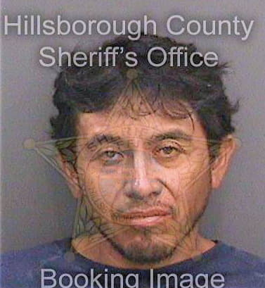 Delacruz Baltazar - Hillsborough County, FL 