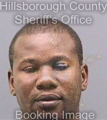 Dieudonne Baudelaire - Hillsborough County, FL 