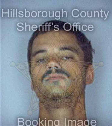 Mcdurfee Mark - Hillsborough County, FL 