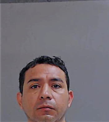 Gonzalez Omar - Hidalgo County, TX 