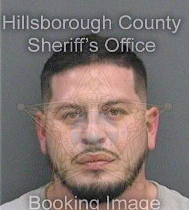 Ramirez David - Hillsborough County, FL 